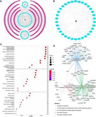 Prediction of herbal medicines based on immune cell infiltration and immune- and ferroptosis-related gene expression levels to treat valvular atrial fibrillation